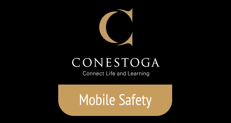 Mobile Safety
