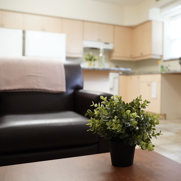 The living space